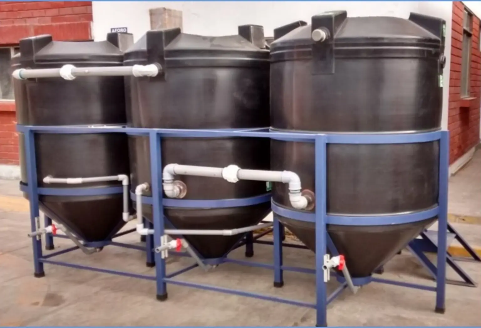 Honda Selva del Perú 2